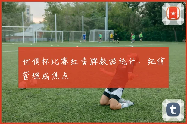 世俱杯比赛红黄牌数据统计，纪律管理成焦点