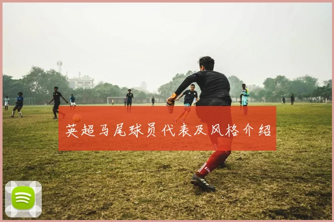 英超马尾球员代表及风格介绍