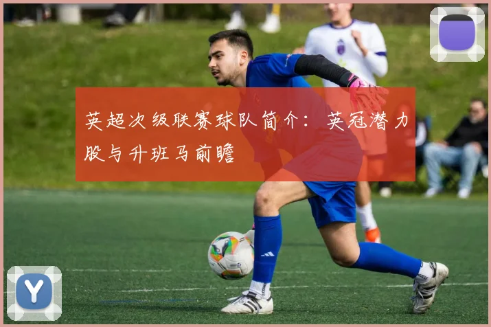 英超次级联赛球队简介：英冠潜力股与升班马前瞻